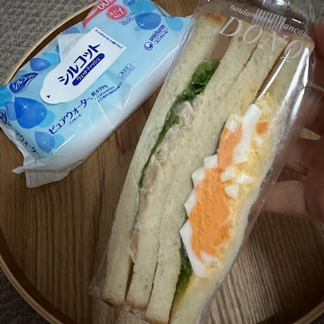 コロナに罹った話その⑤