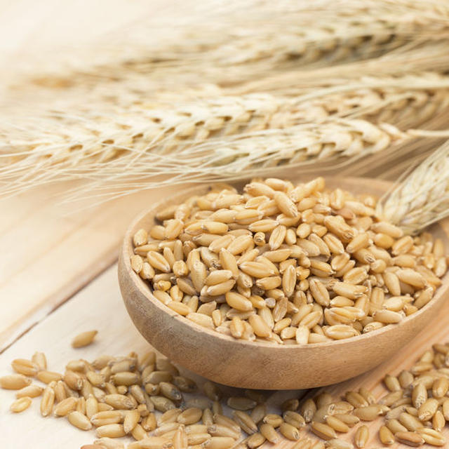 【ブログ】全粒穀物を食べることのメリット