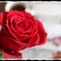 『love ♥ HOME Style』 を見つめながら♡♥