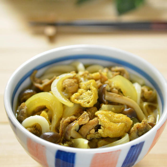 夏に食べたい！お出汁を利かせた旨みたっぷり☆さらさらカレーうどん♬