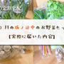 10月の坂ノ途中のお野菜セットはこんな感じ【実際に届いた内容】