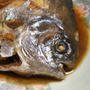 【薬膳の効能】まながつおの効能　マナガツオは虚弱体質向きの魚