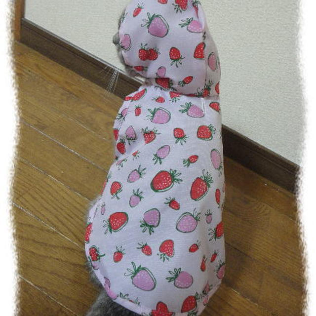 梅雨時のお散歩着はレインコート