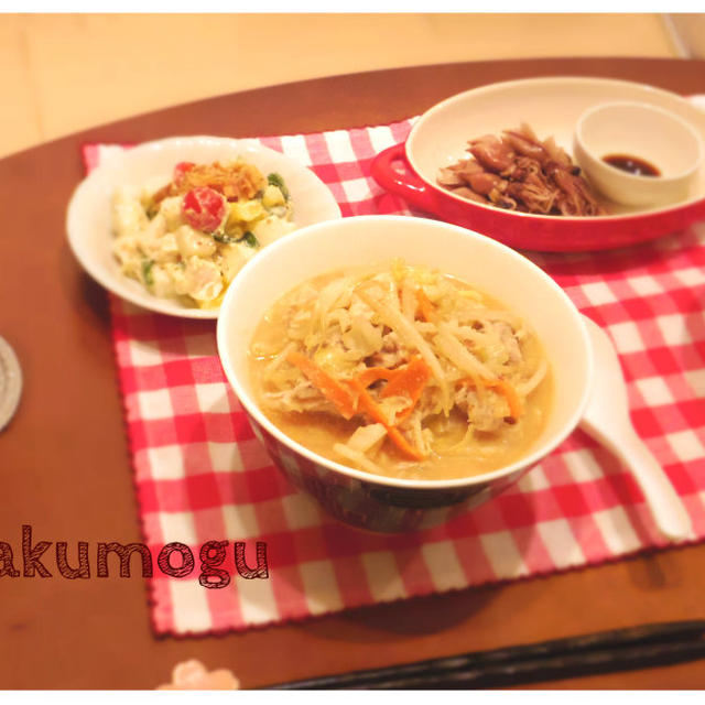 手作りゴマ味噌ラーメン＊ササミの具沢山サラダ＊