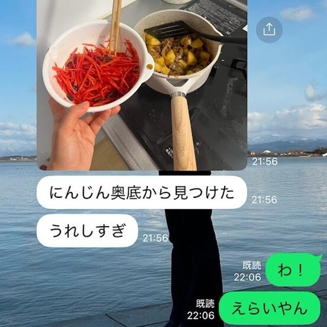 一人暮らし頑張る長女なーさんの晩ごはんと【ひき肉と豆腐だけで4種類の料理を作る！】