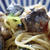 ◉ サバ缶を使った和風パスタ◉