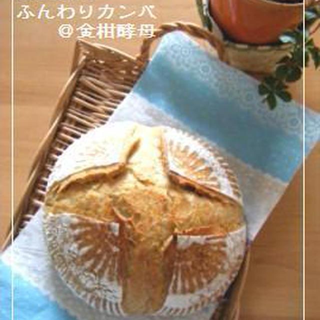 【Coupe Junkies】Campagne　レッスン３　酵母編