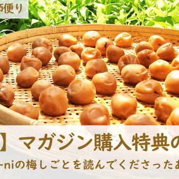 【第9回】マガジン購入特典のご案内