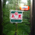 大葉