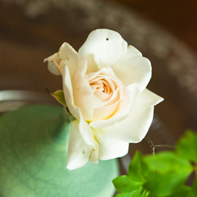 Photo Lesson  2012.5.