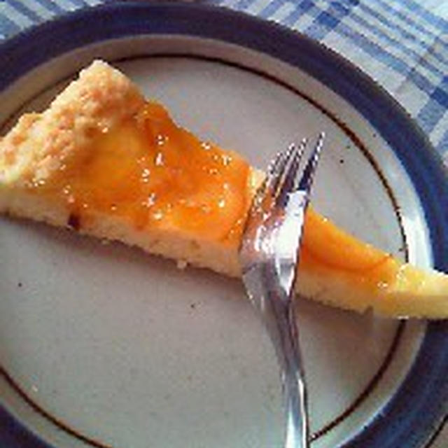 夏のケーキはいかがなものか？
