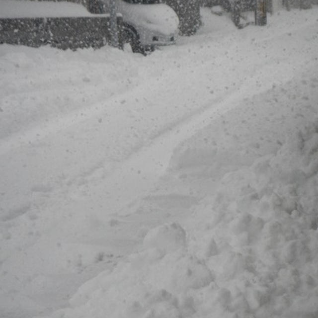 雪・・・大丈夫ですか～★