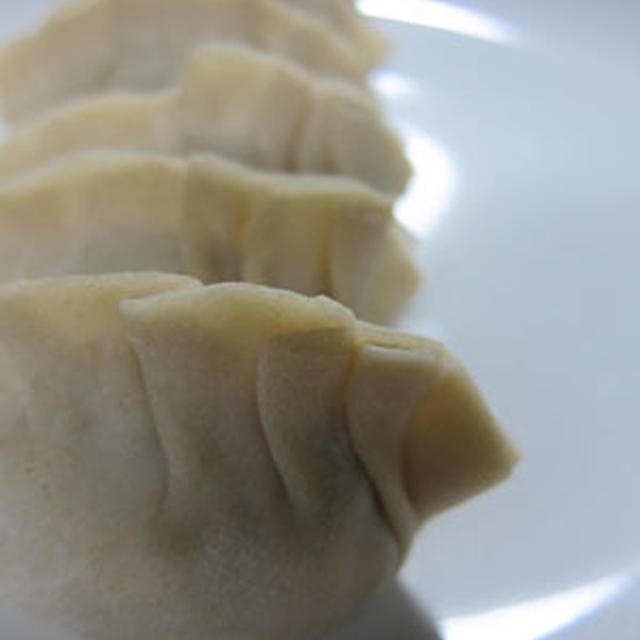モチモチ餃子
