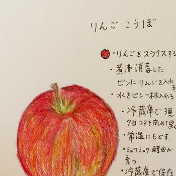 あまちゃん離乳食の方針