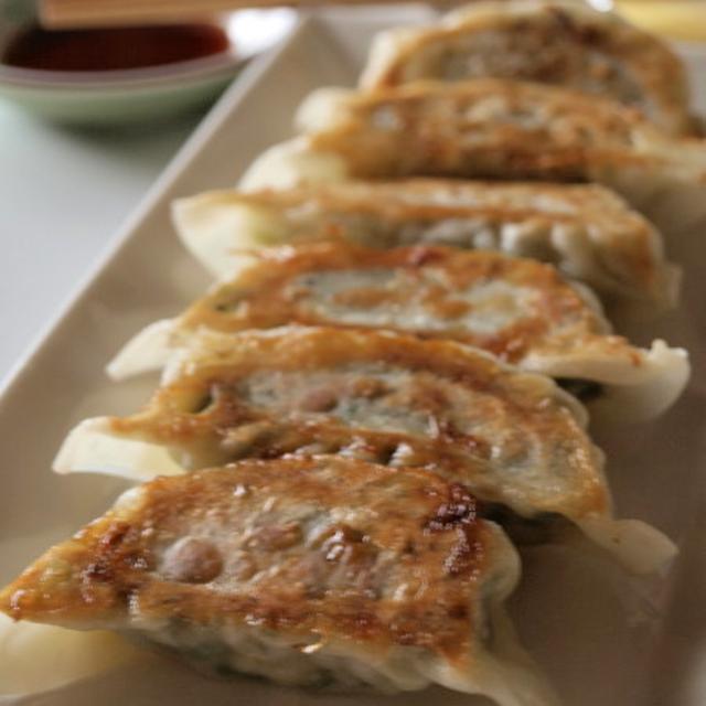 ウチの餃子は野菜ばっかり、肉星人としたことが･･･。