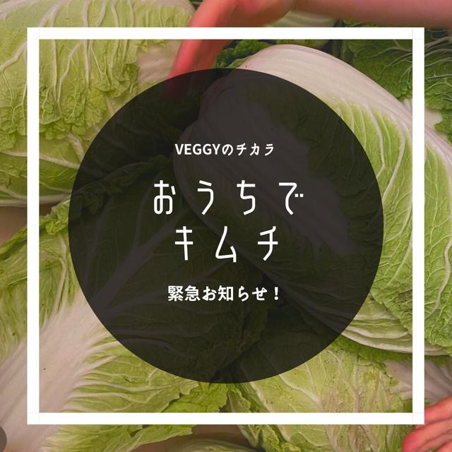 緊急お知らせおうちにお届け、キムチ