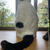 昨日の猫三昧