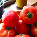 実家の家庭菜園で獲れた夏トマト。