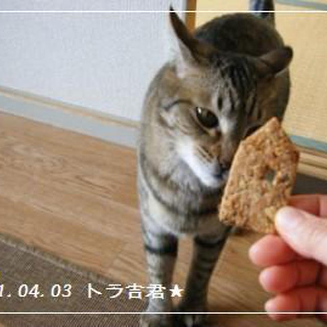 大好きな★ちはるさん便★