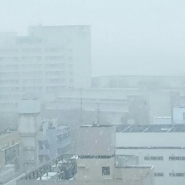 ☆初雪&新製品カップヌードル☆