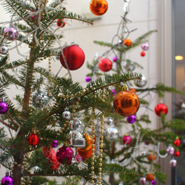 クリスマスツリーは何本飾りますか？