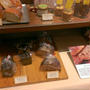 ＊GARDEN HOUSE CRAFTS＠新宿＊