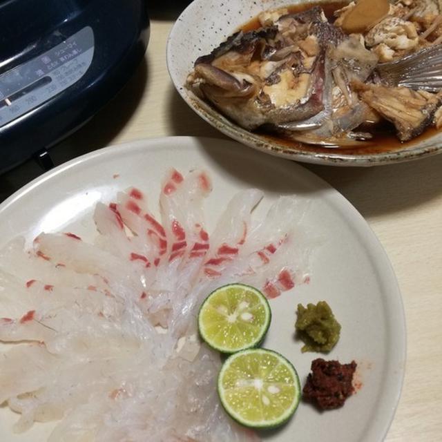 旦那めし #89 旦那が真鯛を釣ってきた( ﾟДﾟ)
