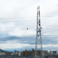 電線に