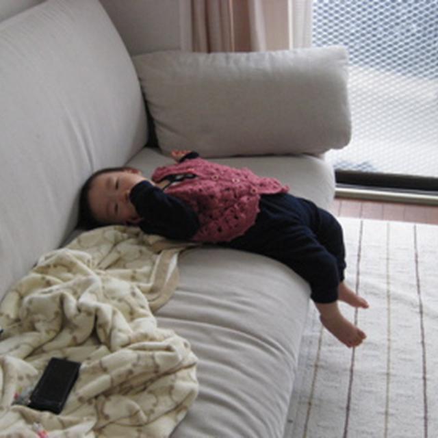 樹の日常☆