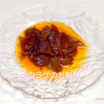 キクラゲのお刺身