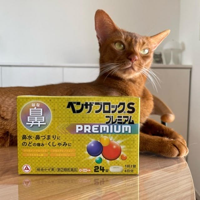 黄色のベンザブロックS鼻用で、ちょっとスッキリした♪