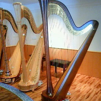 Grand Harpの音色夢の叶ったお写真励ましていただいた皆様へプレゼントです０＾・＾０