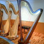 Grand Harpの音色夢の叶ったお写真励ましていただいた皆様へプレゼントです０＾・＾０