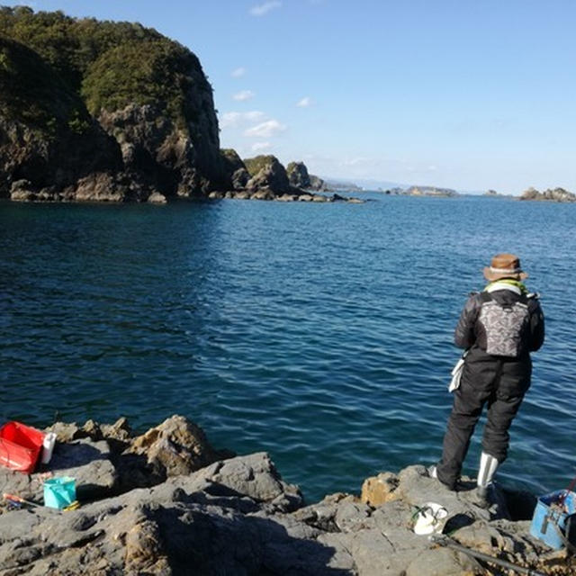 久しぶりにグレ釣れたな～( ﾟДﾟ)ﾉ