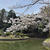 根来寺