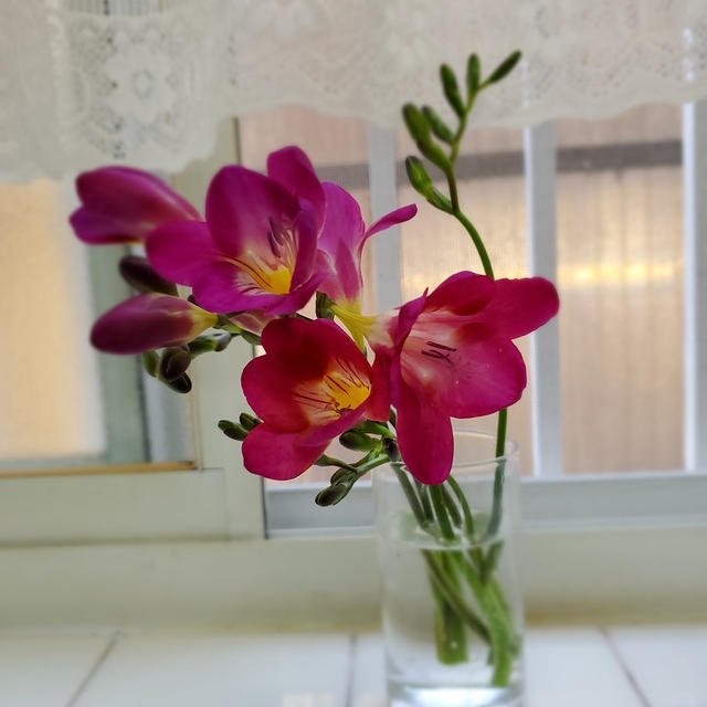 月曜日：お部屋に切り花を‥＆朝食・昼食