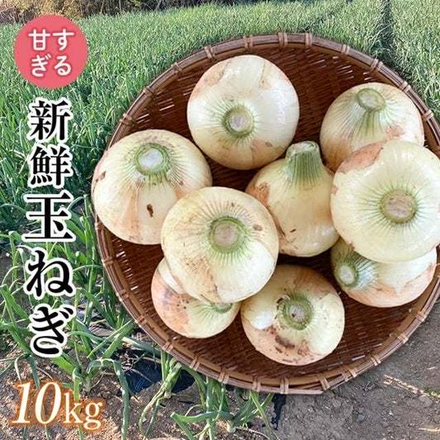 【ふるさと納税】甘すぎる玉ねぎ10kg/6000円