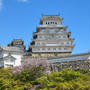 姫路城と桜　第38回　姫路城観桜会　2023/04/08　　姫路城夜桜　