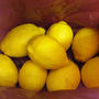 静岡県産のレモンをいただきました（レモンを使ったレシピは後ほど）