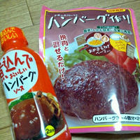 日本食研「煮込んでおいしいハンバーグソース」