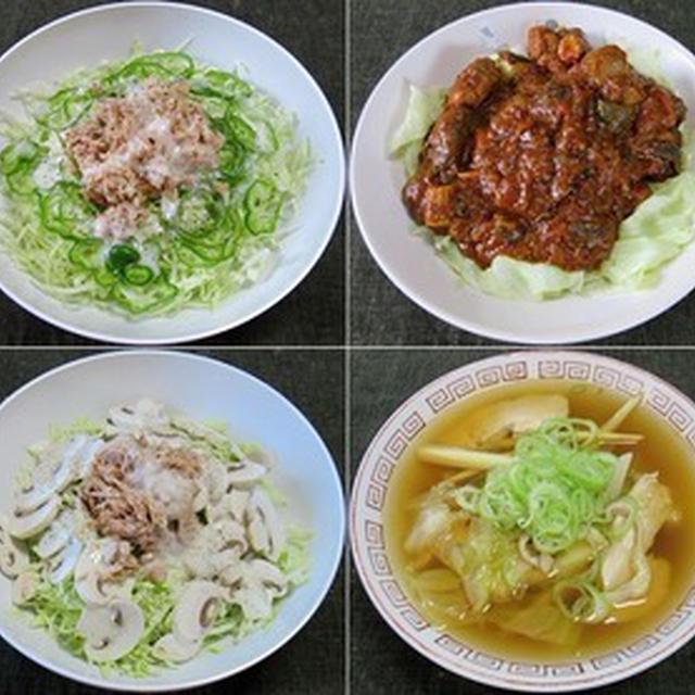 やっぱり大好きなキャベツ＆カレー：野菜食日誌[410]-[414]