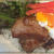 「5days art Challenge」2日目はお手軽丼物ランチ？