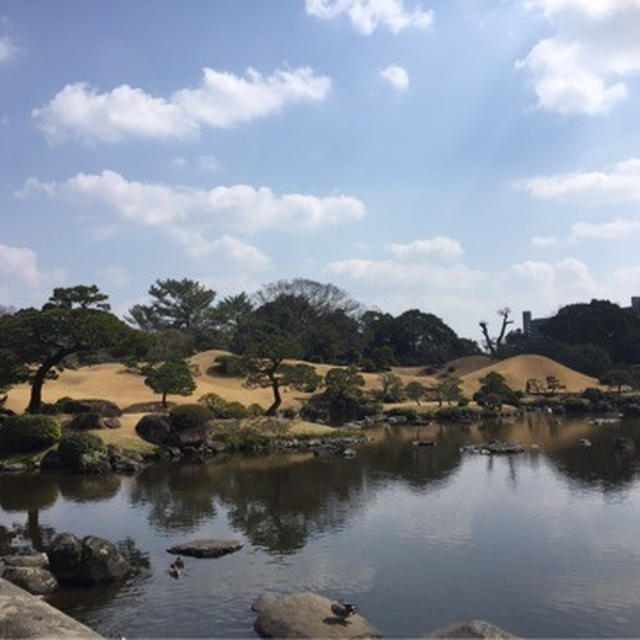 休日満喫中～熊本水前寺成趣園でお茶を楽しむ～
