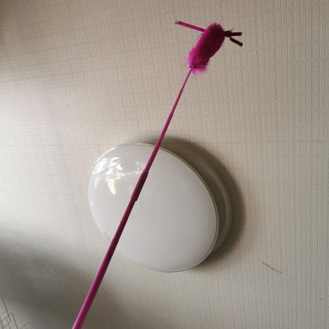新しい長いじゃらし