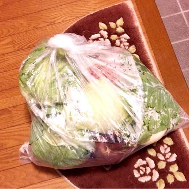 立派な野菜