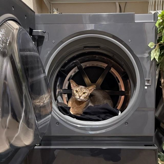 ちょっと坊さま…どこにいるのだい⁇
