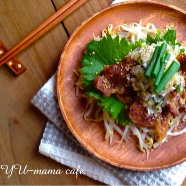 大葉ネギ塩の焼豚肉もやし。〜簡単おつまみ〜 良い休日を*\(^o^)/*