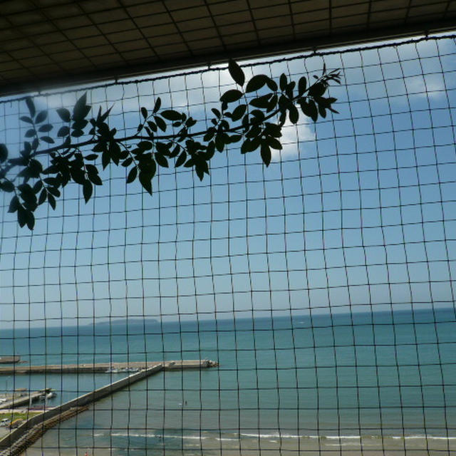 晩夏