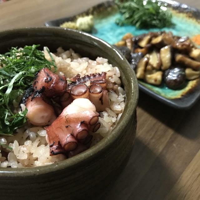 炊飯器で簡単に作れるタコ飯