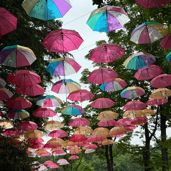 5月ふりかえり②